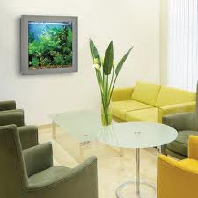 Aquário Quadro para Parede Vivo Decoração de Parede Piracicaba