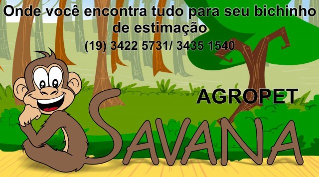 Clínica Veterinária bairro Paulicéia
