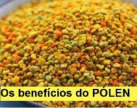 Pólen de flores 120g