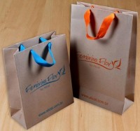 Sacolas de Papel Personalizadas com Logotipo