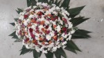 Floricultura do Parque ressurreição