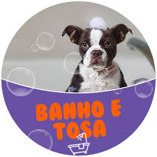 estetica-animal-banho-e-tosa