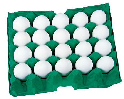 ovos-bueno-grandes-branco-com-20-unidades