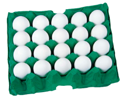 Alimentação - Ovos Santelmo grandes branco  - Ovos Santelmo grandes branco 