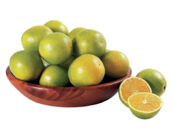 Alimentação - Laranja Pera KG - Laranja Pera KG