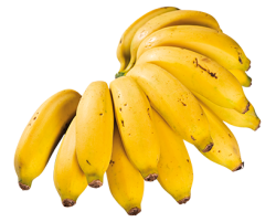 Alimentação - Banana prata - Banana prata