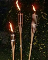 Tocha para Festa do Havaí 