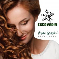 Escova para cabelos - Escovaria Verde Brasil 