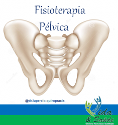 FISIOTERAPIA PELVICA 