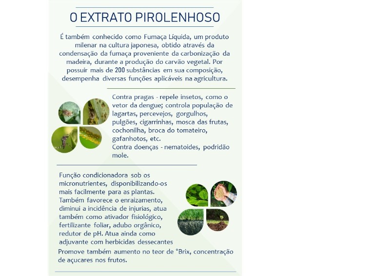 extrato-pirolenhoso-acido-santa-fe-do-sul-londrina-maringa