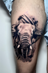 Artes - tatuagem realismo  - tatuagem realismo 