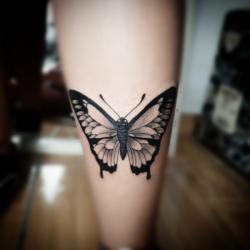 Artes - Tatuagem feminina borboleta delicada - Tatuagem feminina borboleta delicada