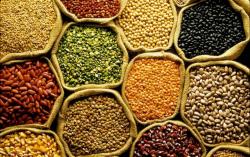 Alimentação - Masala Grãos  - Masala Grãos 