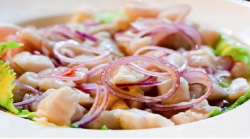 Alimentação - Ceviche Peixe Branco - Ceviche Peixe Branco