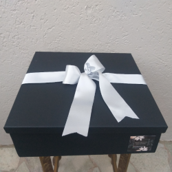 Caixa de couro com Vinho