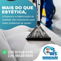 Lavagem de Sofá  