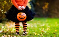 Para sua casa - Fantasia Halloween  - Fantasia Halloween 