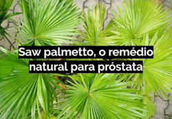 Saúde e beleza -  Saw Palmetto  Próstata cápsula -  Saw Palmetto  Próstata cápsula