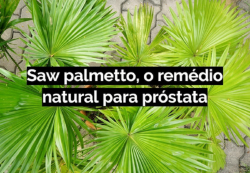  Saw Palmetto  Próstata cápsula