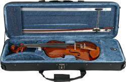 Violino Eagle  4/4 VE 441 