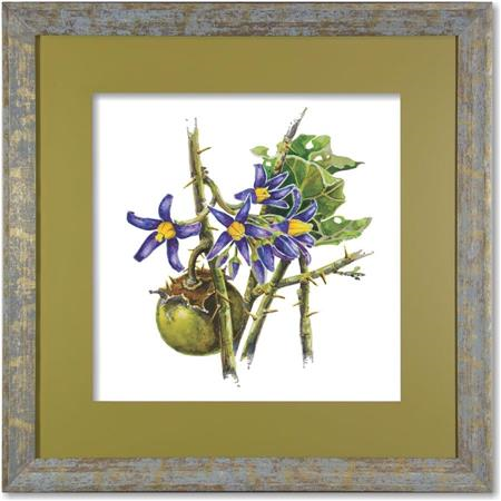 quadro-gravura-com-moldura-flor-fruta-cerrado-joa-americana-campinas-rio-claro-decoracao