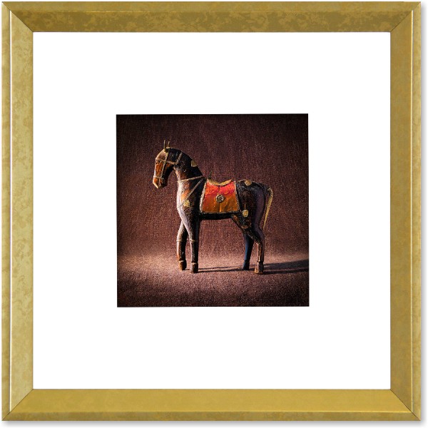 quadro-foto-gravura-com-moldura-dourada-animal-cavalo-americana-campinas-rio-claro-decoracao