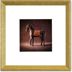 Quadro Foto com Moldura Dourada Animal Cavalo Americana Campinas Rio Claro
