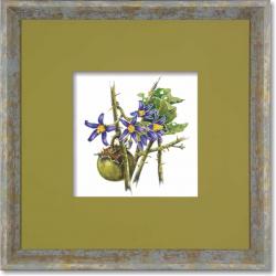 Quadro Gravura com Moldura Flor Fruta Cerrado Joa Americana Campinas Rio Claro Decoração