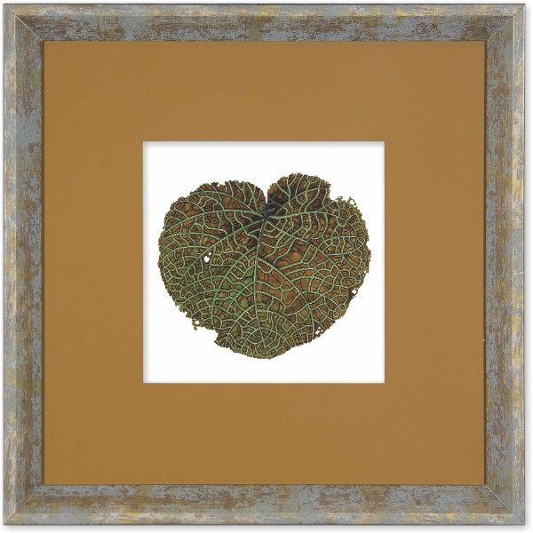 quadro-gravura-com-moldura-folha-coccoloba-americana-campinas-rio-claro-decoracao