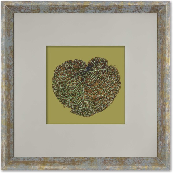 quadro-gravura-com-moldura-cinza-folha-coccoloba-americana-campinas-rio-claro-decoracao
