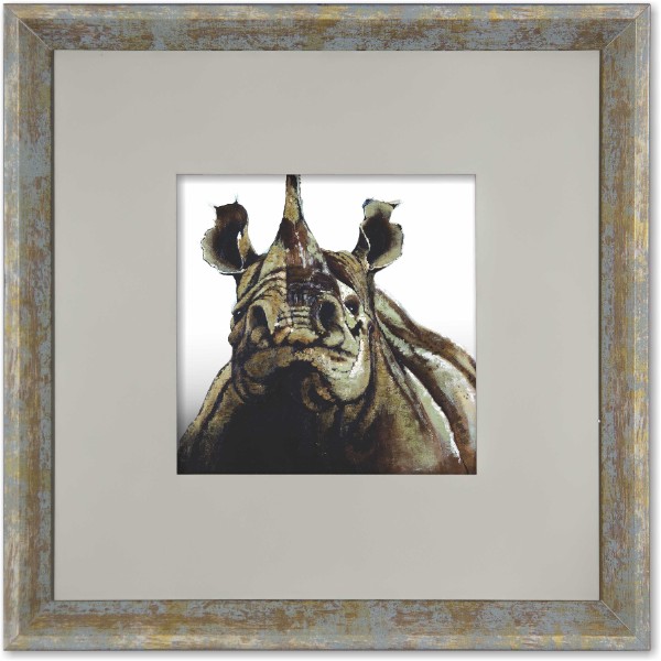quadro-foto-com-moldura-animal-rinoceronte-branco-americana-campinas-rio-claro-decoracao