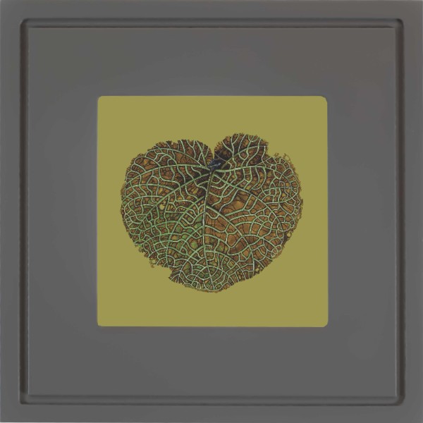 quadro-gravura-com-moldura-folha-coccoloba-cinza-escuro-americana-campinas-rio-claro-decoracao