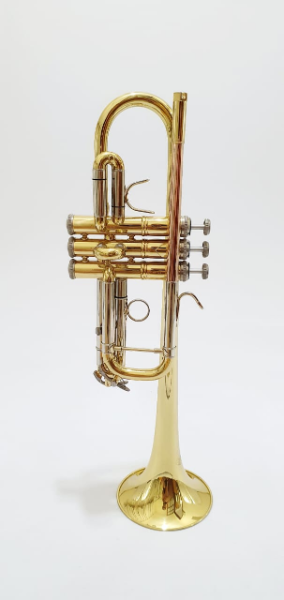 trompete-hoyden-dourado-em-si-bemol-rio-claro-americana-campinas