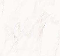 Porc.Retif.Acet.70507 83x83 Castelli