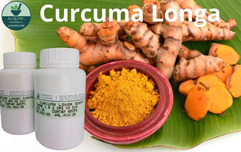 curcuma-longa-piracicaba curcuma-longa-piracicaba
