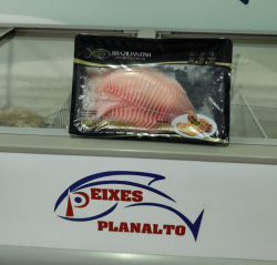 Alimentação - Filé de Tilápia Fresca Brazilian Fish  - Filé de Tilápia Fresca Brazilian Fish 