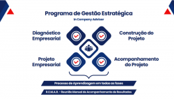 Negócios - Programa de Gestão Estratégica Empresarial - Programa de Gestão Estratégica Empresarial