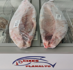 Alimentação - Piapara - Piapara
