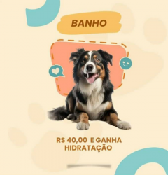 Animais - Banho Pet Centro - Banho Pet Centro