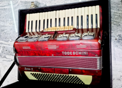 Artes - Acordeão Todeschini Super 6 Vermelha usado - Acordeão Todeschini Super 6 Vermelha usado