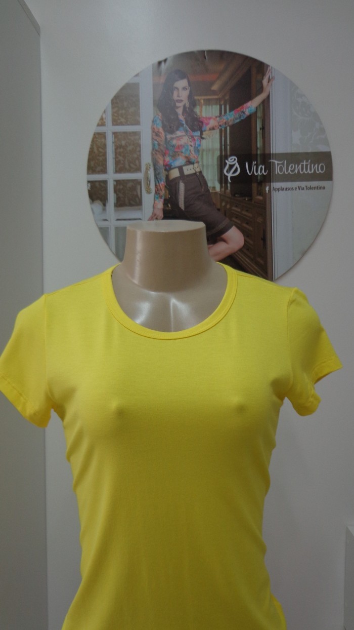 blusa basica feminina