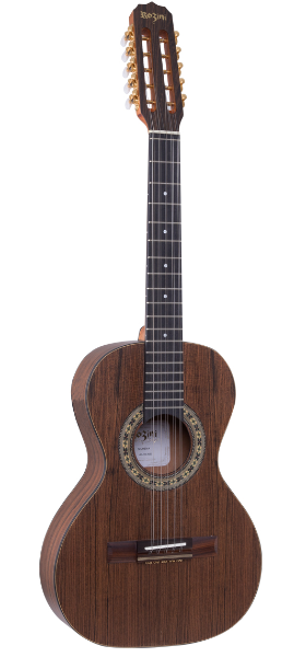 viola-acustica-rozini-rio-claro-americana-limeira