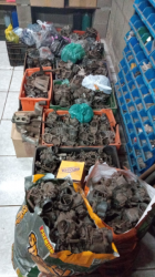 Conserto Peças para Carburador 