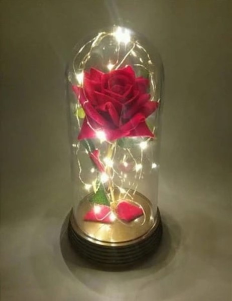 rosa-encantada-piracicaba-