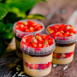 Pote Plástico com Lacre 75 mm 220 ml 