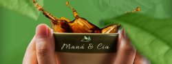 CHÁS À SERVIÇO DA SAÚDE