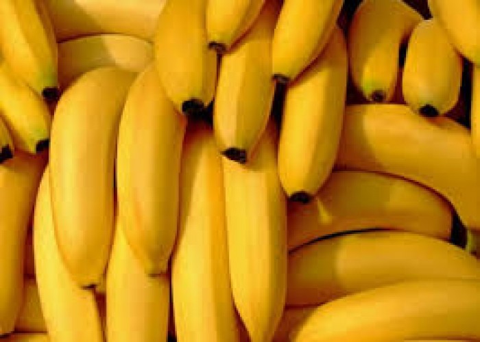 Banana Nanica Direto do Produtor