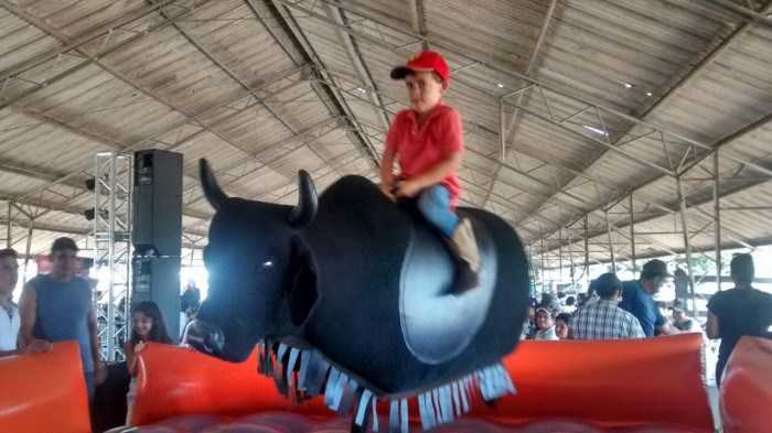 Aluguel de Touro Mecânico para Festa Infantil