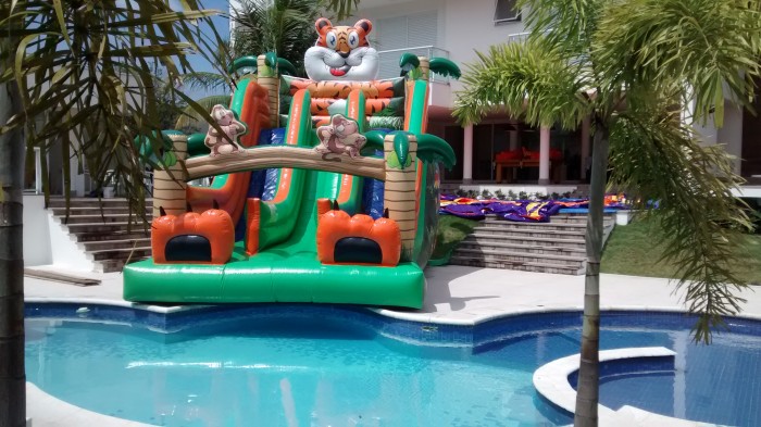 ESCORREGADOR PARA PISCINA