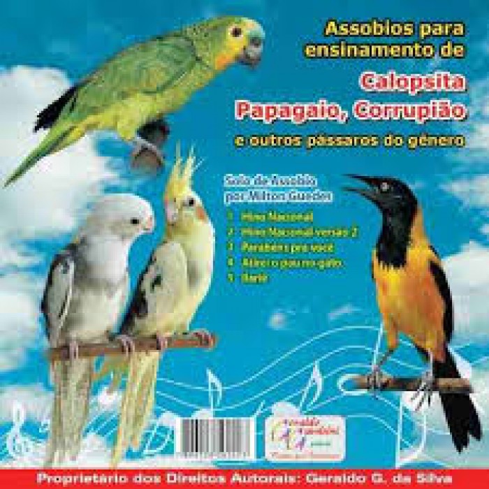 Cd De Assobio para Calopsita e Papagaio